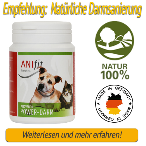 Anifit Power-Darm Hundefutter
