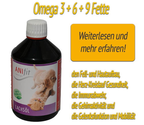 Lachsöl für Omega 3 + 6 +9