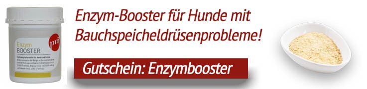 Enzym-Booster Anifit
